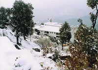 Mussoorie-Dancing Leaves (4-Star)