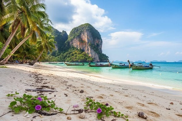 Phuket & Phi Phi Island Escape